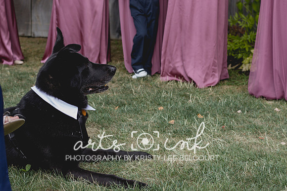 Blissful Meadows, Uxbridge MA | Wedding Photography | Arts Ink Photography