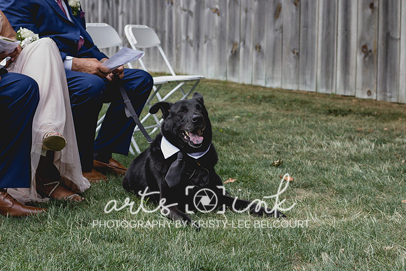 Blissful Meadows, Uxbridge MA | Wedding Photography | Arts Ink Photography