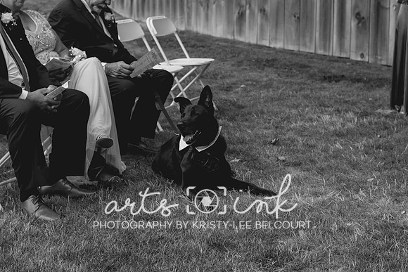 Blissful Meadows, Uxbridge MA | Wedding Photography | Arts Ink Photography