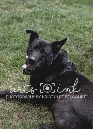 Blissful Meadows, Uxbridge MA | Wedding Photography | Arts Ink Photography