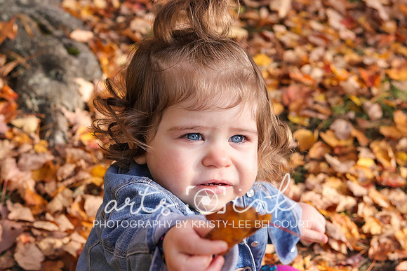 Fall Photo Shoot | Riverbend Farm | Uxbridge MA