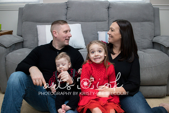 In-home Family Holiday Portraits