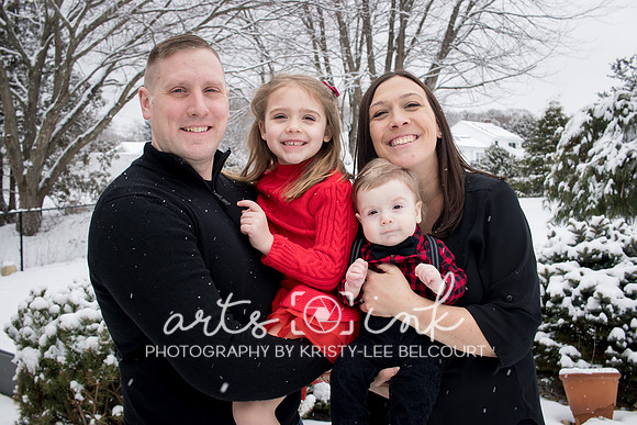 In-home Family Holiday Portraits